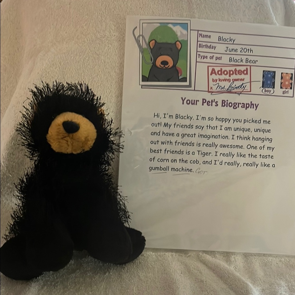 Cuddly Black and Tan Stuffed Bear Toy